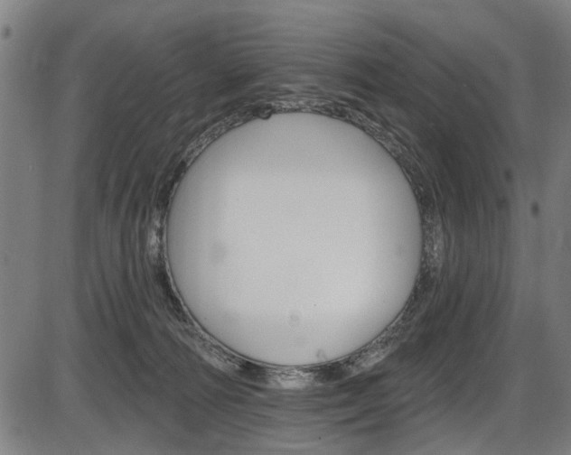 X0000087550226200704270957