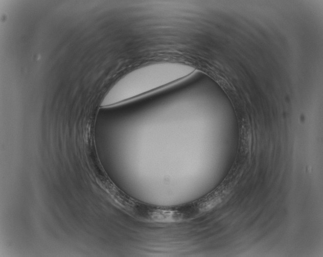 X0000087550227200704270957
