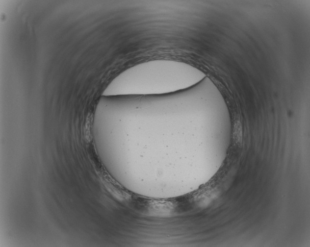 X0000087550234200704270956