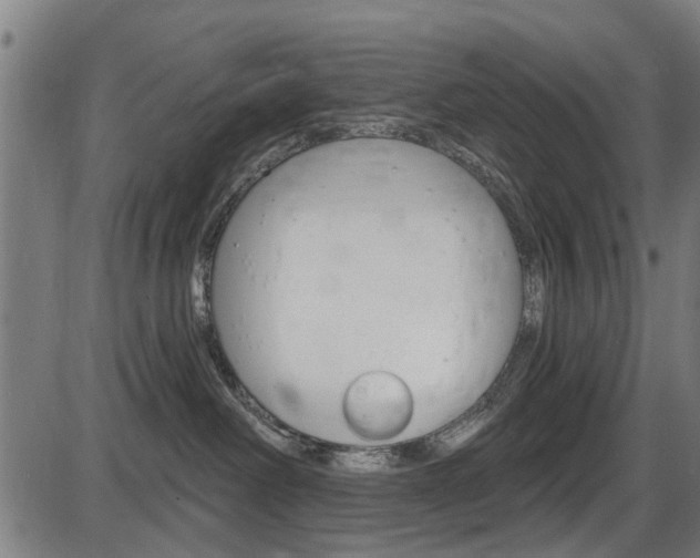 X0000087550238200704270956