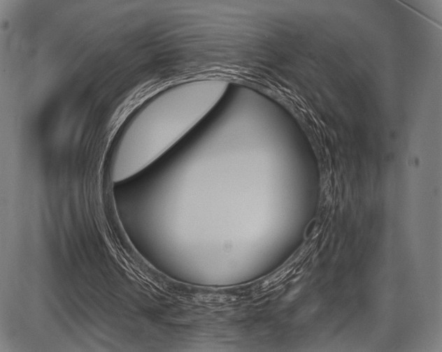 X0000087550242200704270956