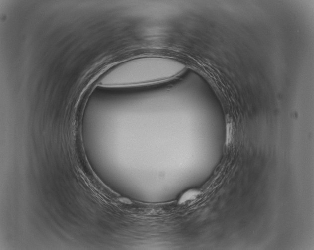 X0000087550243200704270956