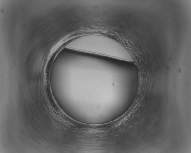 X0000087550246200704270956