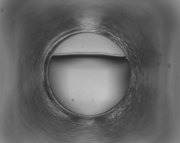 X0000087550247200704270956