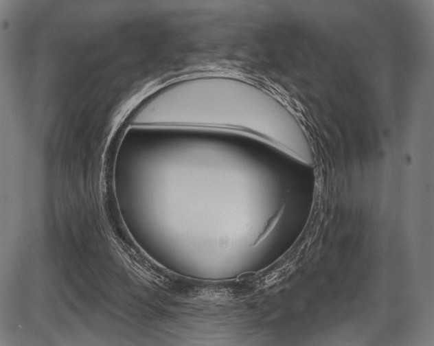 X0000087550248200704270956