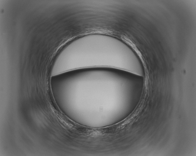 X0000087550249200704270956