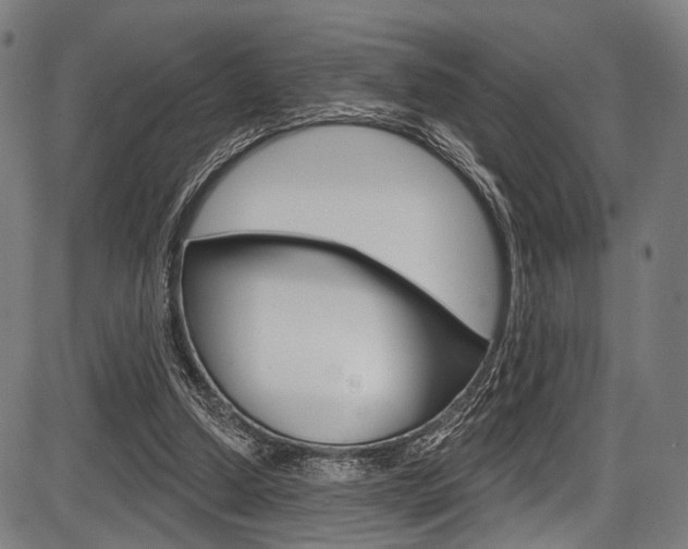X0000087550250200704270956