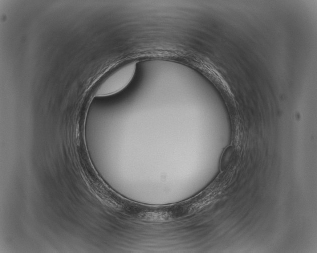 X0000087550251200704270956