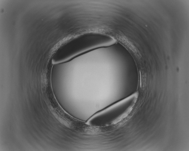 X0000087550252200704270956