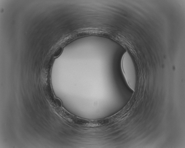 X0000087550255200704270956