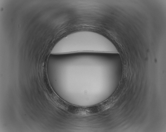 X0000087550263200704270956