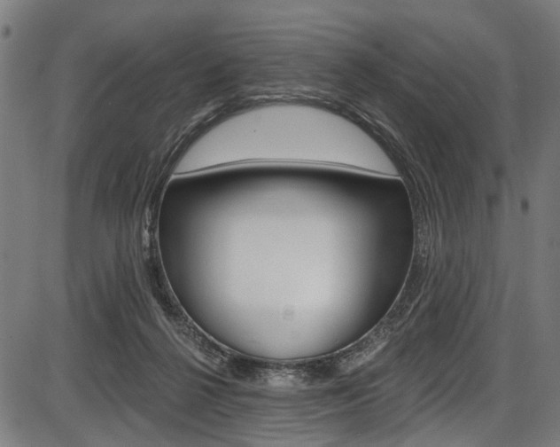 X0000087550264200704270956