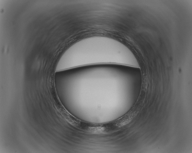X0000087550266200704270956
