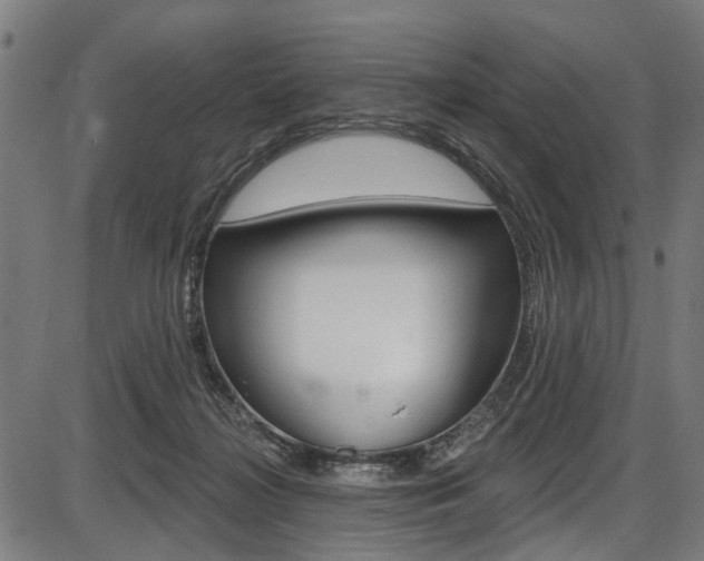 X0000087550268200704270956