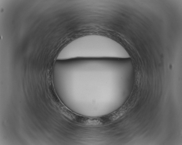 X0000087550270200704270956