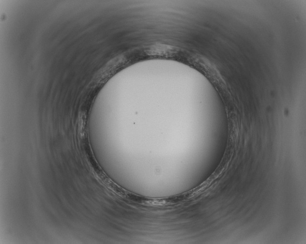 X0000087550273200704270956