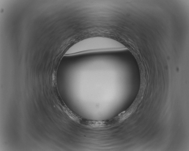 X0000087550288200704270956