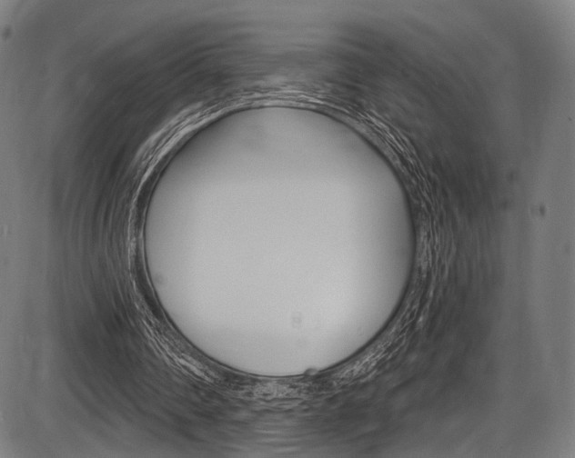 X0000087550290200704270956