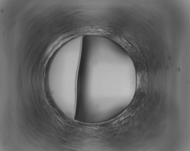X0000087550291200704270955