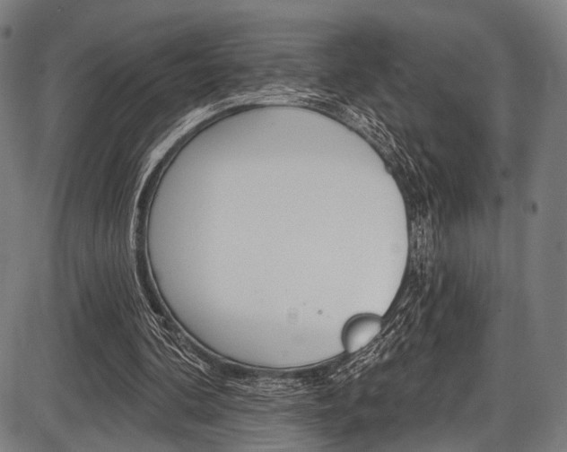 X0000087550292200704270955