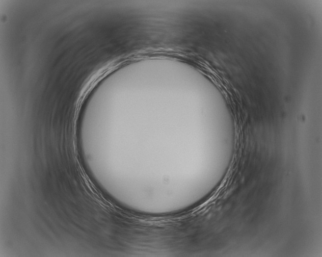 X0000087550293200704270955
