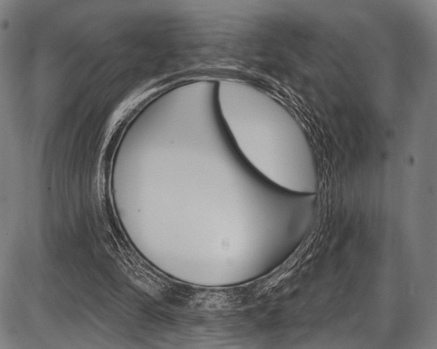 X0000087550294200704270955