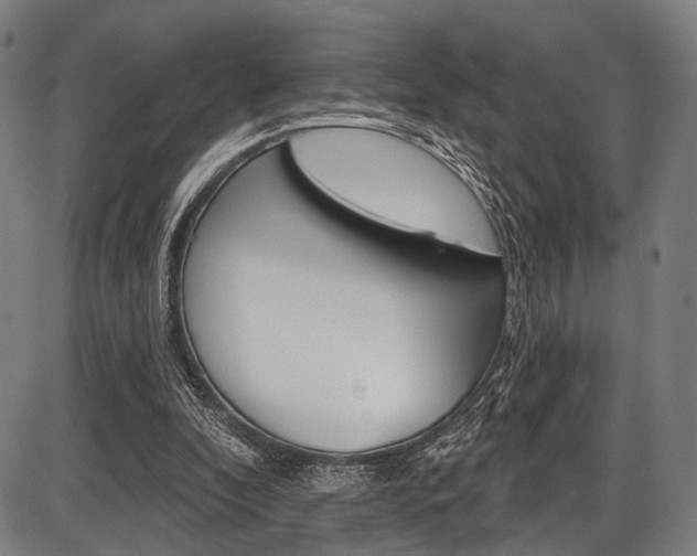 X0000087550296200704270955