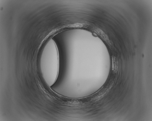 X0000087550300200704270955
