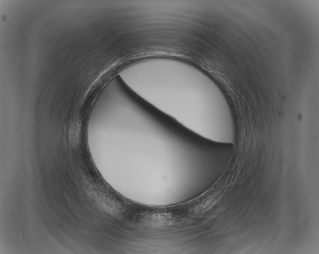 X0000087550304200704270955
