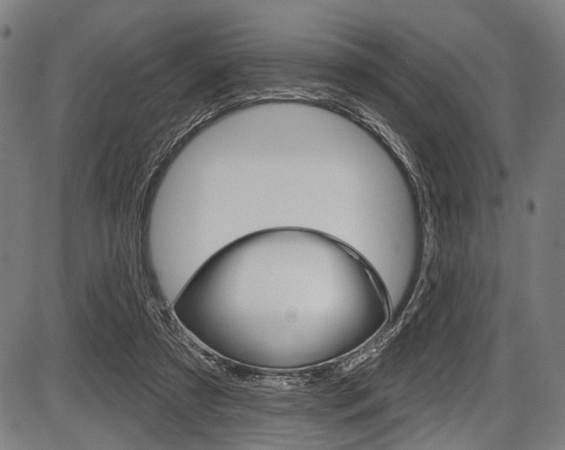 X0000087550305200704270955