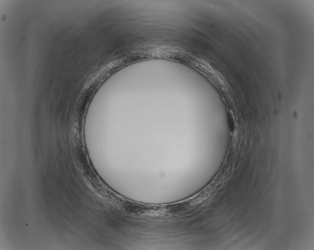 X0000087550306200704270955