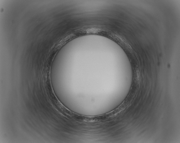 X0000087550311200704270955