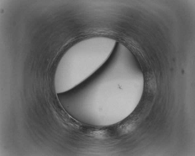 X0000087550312200704270955