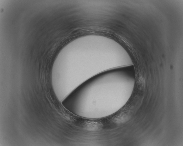 X0000087550315200704270955