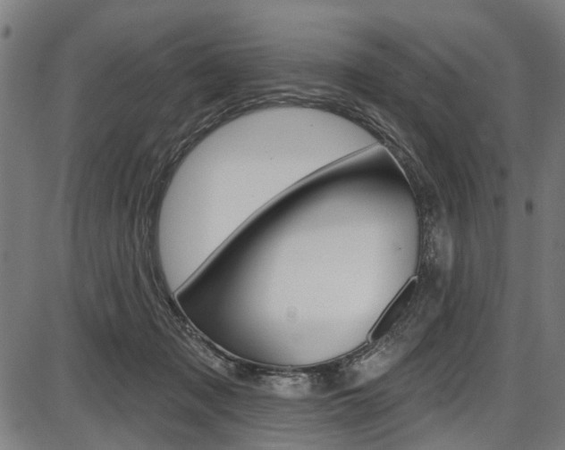 X0000087550317200704270955
