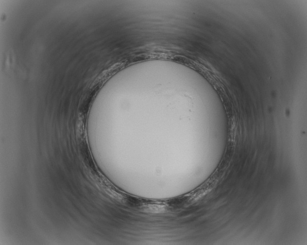 X0000087550318200704270955