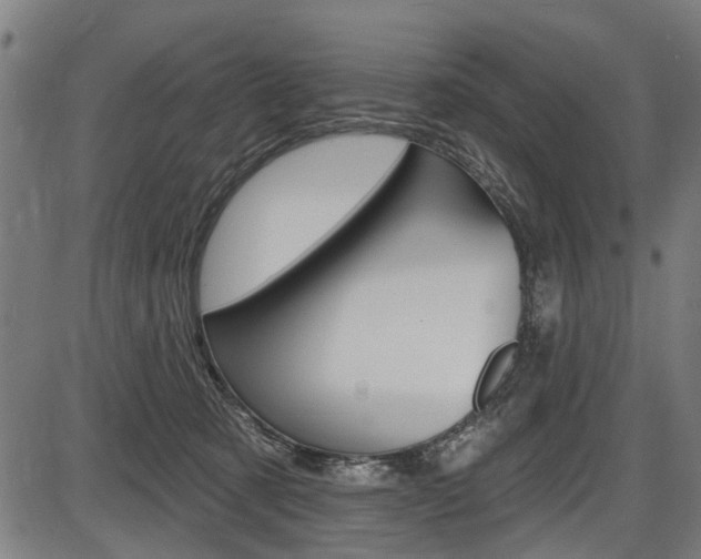 X0000087550321200704270955