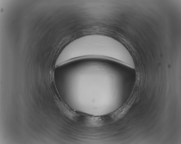 X0000087550333200704270955