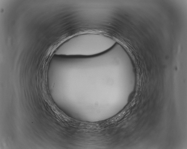 X0000087550337200704270954