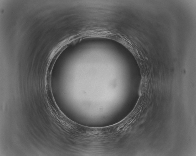 X0000087550340200704270954