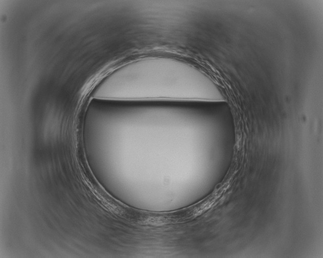 X0000087550341200704270954