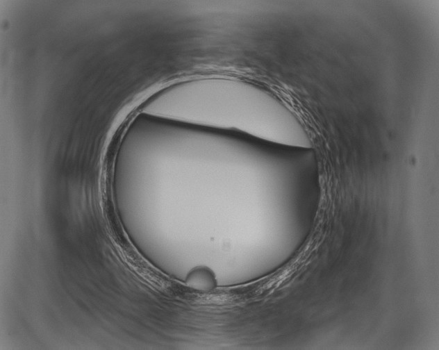 X0000087550342200704270954
