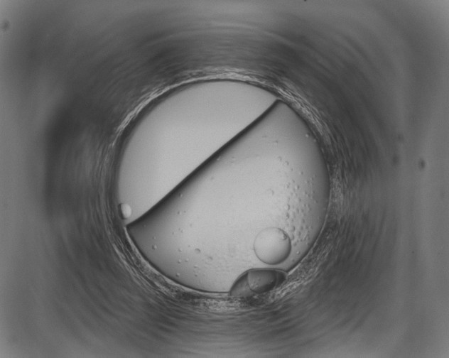X0000087550347200704270954
