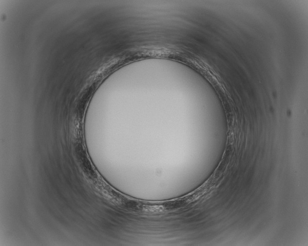 X0000087550355200704270954