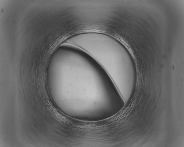 X0000087550385200704270954