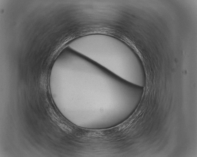 X0000087550386200704270954