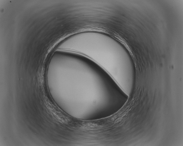 X0000087550387200704270954