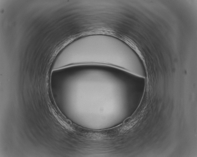 X0000087550389200704270954
