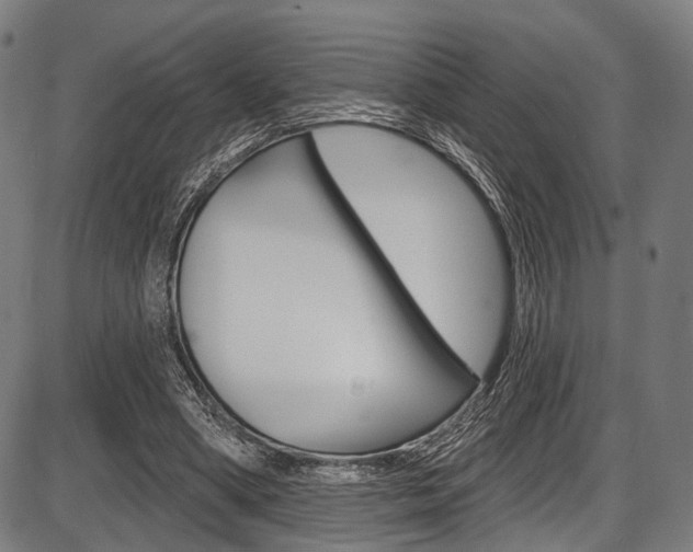 X0000087550394200704270954