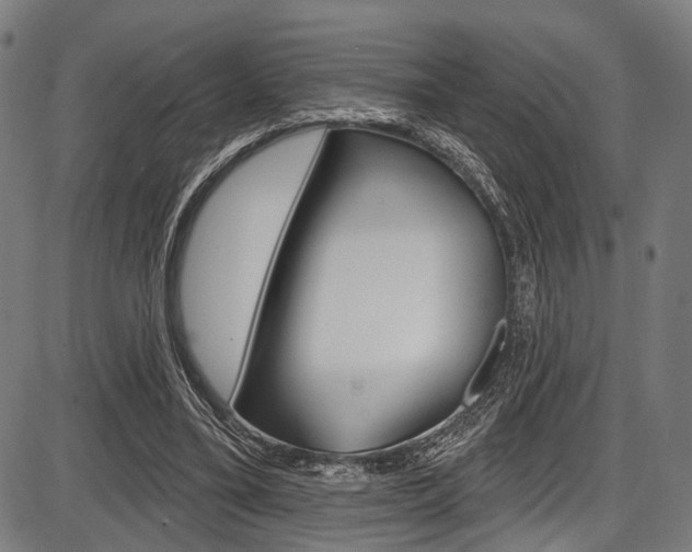 X0000087550395200704270954